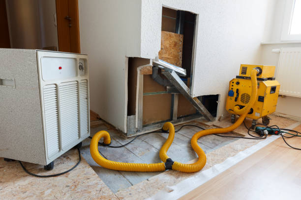 Forensic Mold Investigation in Masontown, PA