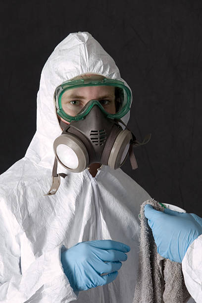 Dehumidification Services in Masontown, PA
